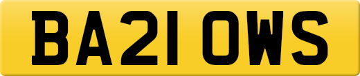 BA21OWS