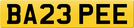 BA23PEE
