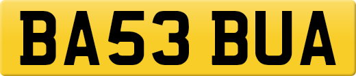 BA53BUA