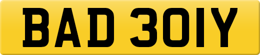 BAD301Y