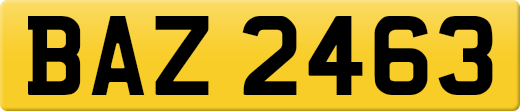 BAZ2463