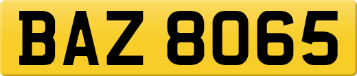 BAZ8065