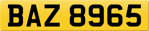 BAZ8965