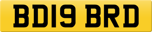 BD19BRD