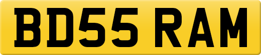 BD55RAM