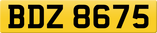 BDZ8675
