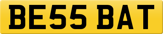 BE55BAT