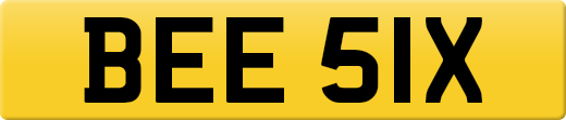 BEE51X