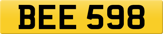 BEE598