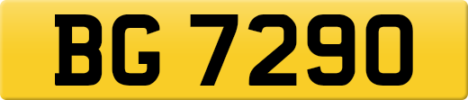BG7290