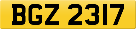 BGZ2317