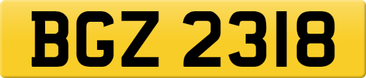BGZ2318