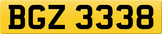BGZ3338