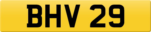 BHV29