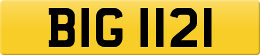 BIG1121