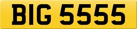 BIG5555