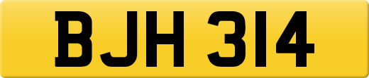 BJH314