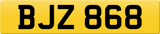 BJZ868