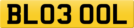 BL03OOL