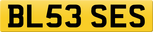 BL53SES