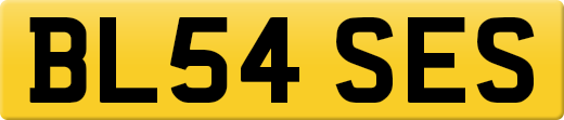 BL54SES