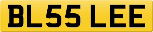 BL55LEE