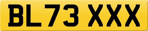 BL73XXX