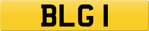 BLG1