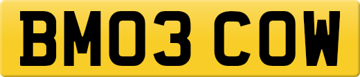 BM03COW
