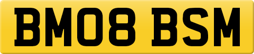 BM08BSM