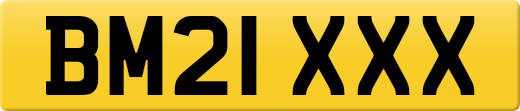 BM21XXX