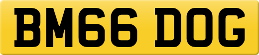 BM66DOG