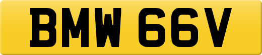 BMW66V