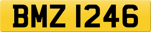 BMZ1246
