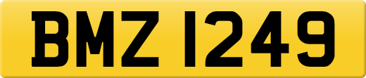 BMZ1249
