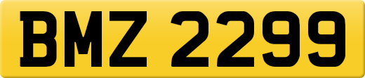 BMZ2299