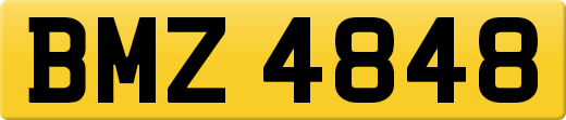 BMZ4848