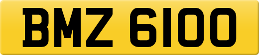 BMZ6100