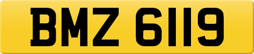 BMZ6119