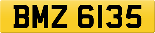 BMZ6135