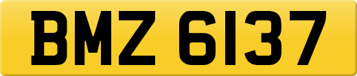 BMZ6137