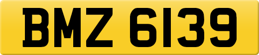 BMZ6139