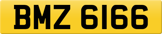 BMZ6166