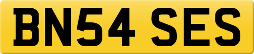 BN54SES