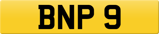 BNP9