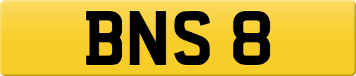 BNS8