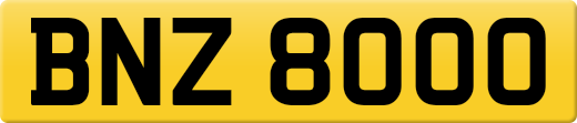 BNZ8000