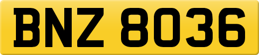BNZ8036