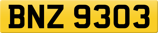 BNZ9303