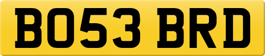 BO53BRD